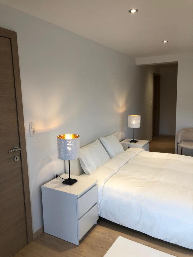 Pegasus I - 2 Chambres De Luxe, Cuisine, Salon, 2 Terrasses Et Sauna Vielsalm Eksteriør billede