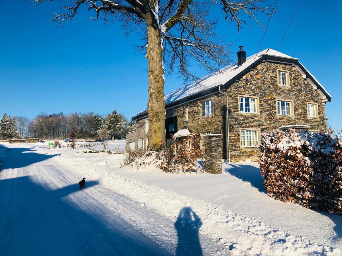 Pegasus I - 2 Chambres De Luxe, Cuisine, Salon, 2 Terrasses Et Sauna Vielsalm Eksteriør billede
